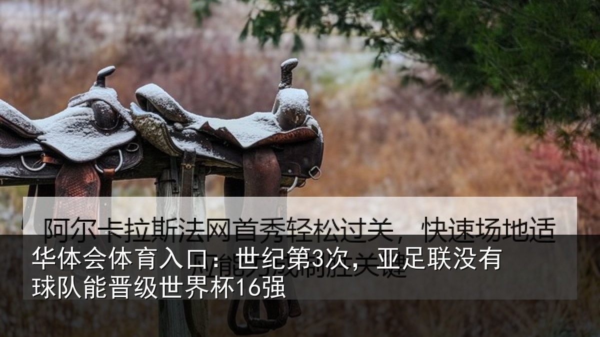 华体会体育入口:世纪相关情况队能晋级世界杯16强