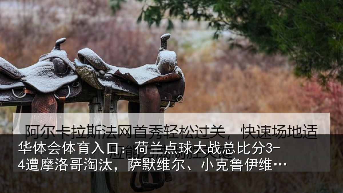 华体会体育入口:荷兰相关情况摩洛相关情况克鲁伊维特丢点