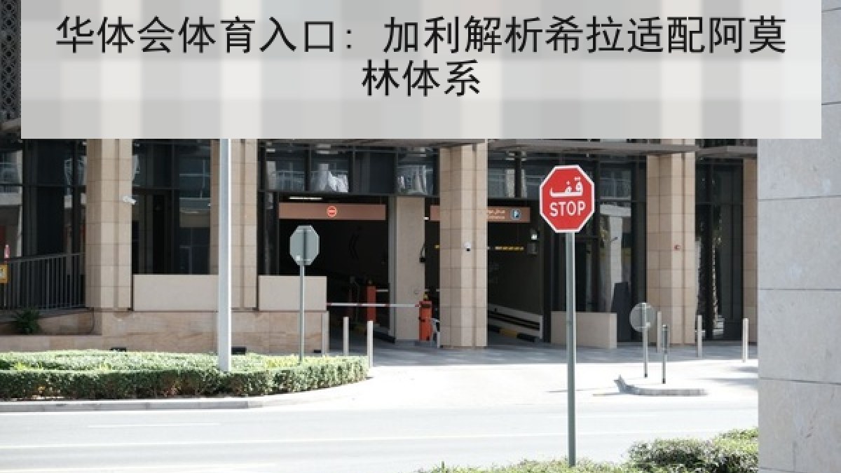 华体会体育入口: 加利解析希拉适配阿莫林体系 华体会体育入口: 加利解析希拉适配阿莫林体系